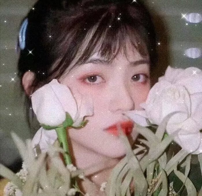 披著丝绸的魔鬼